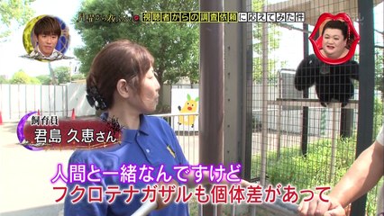 ケイジくん