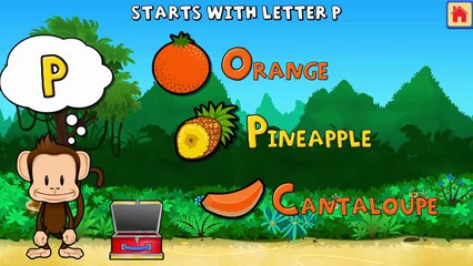 Baby Play Fun Fruit & Learn Colors Shapes Numbers Matching Size With Monkey Preschool Lunchbox