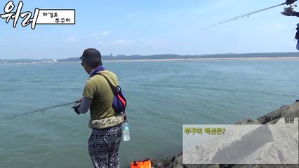 [워러]의 루어낚시2017 08 25태안 마검포 쭈꾸미 조행기