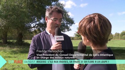 Sur place à l'Ile aux Moines... à Ancenis !