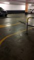 Snake Slithers in a Parking Garage