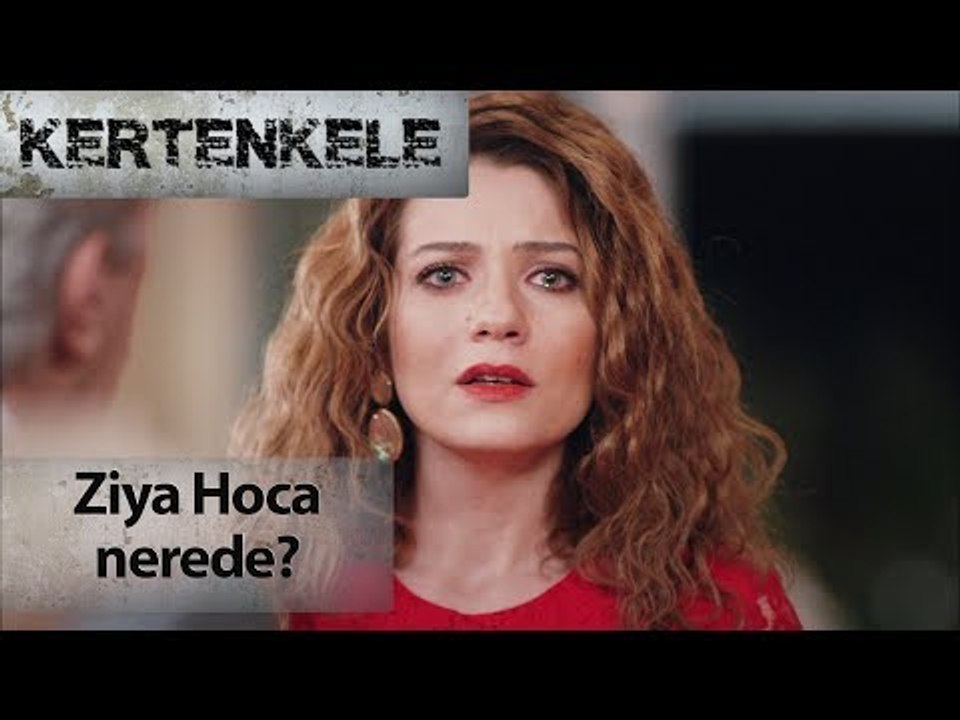 Ziya hoca nerede?