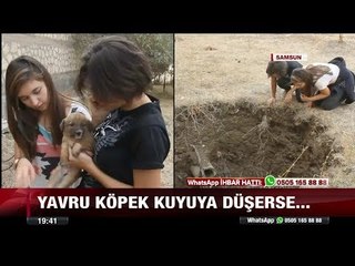 Yavru köpek kuyuya düştü - 2 Ekim 2017