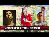 Ataşehir'de Pitbull cinayeti! - 5 Ekim 2017