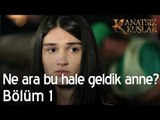 Biz ne ara bu hale geldik anne? - Kanatsız Kuşlar 1. Bölüm