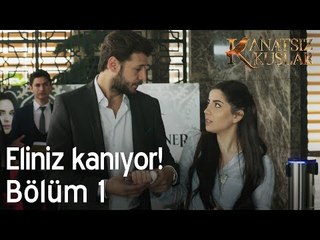 Eliniz kanıyor! - Kanatsız Kuşlar 1. Bölüm