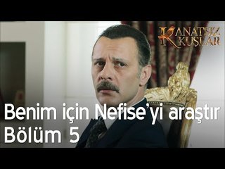 Benim için Nefise'yi araştır!  - Kanatsız Kuşlar 5. Bölüm