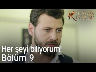 Her şeyi biliyorum! - Kanatsız Kuşlar 9. Bölüm