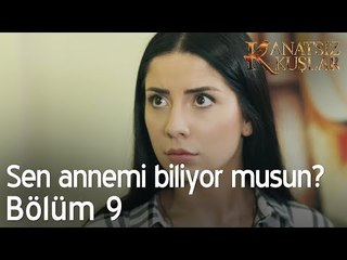 Sen annemi biliyor musun? - Kanatsız Kuşlar 9. Bölüm