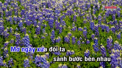 Đắng Môi (Karaoke Beat) - Tone Nam (Phạm Trưởng)