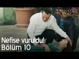 Nefise vuruldu! - Kanatsız Kuşlar 10. Bölüm