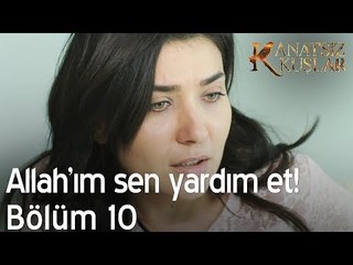 Allah'ım sen yardım et!  - Kanatsız Kuşlar 10. Bölüm