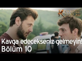 Eğer kavga edecekseniz ikiniz de gelmeyin!  - Kanatsız Kuşlar 10. Bölüm