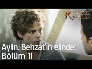 Aylin senin yüzünden Behzat'ın elinde! - Kanatsız Kuşlar 11. Bölüm