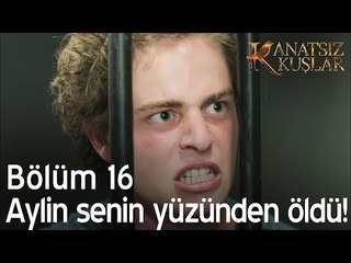 Aylin senin yüzünden öldü! - Kanatsız Kuşlar 16. Bölüm