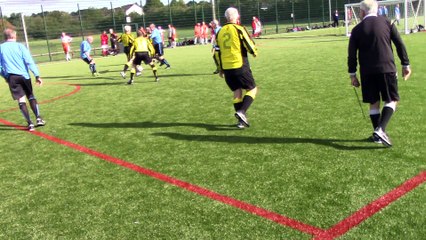 The Nash Bees v. Wakefield Wanderers