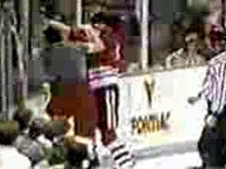 Bob Probert vs Stu Grimson (1)