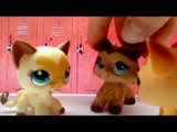 Littlest Pet Shop: Между огнем и водой ( 1 сезон 3 серия )
