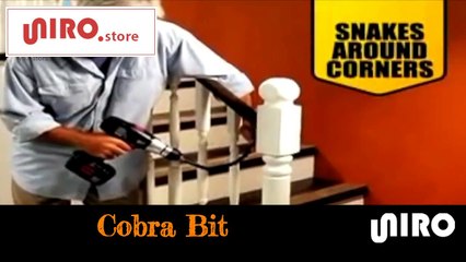 Flexible Drill Bit Extension