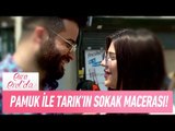 Pamuk ile Tarık'ın sokak macerası! - Esra Erol'da 22 Haziran 2017