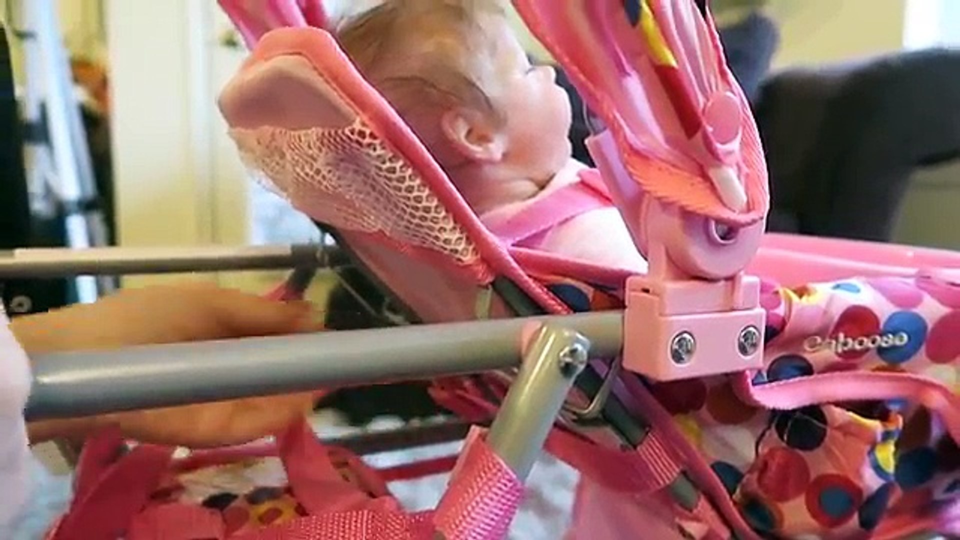 joovy stroller for dolls