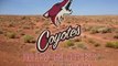 The Arizona Coyotes: Professional Hockey's Lolcow in the Desert