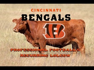 The Cincinnati Bengals: Professional Football's Recurring Lolcow