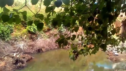 [MP4 720p] Real Ghost Videos Caught On Camera _ Paranormal GHOST Videos 2017