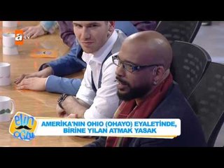 Amerikada Çok İlginç Yasaklar: Elin Oğlu 6. bölüm - atv