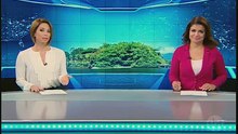 Jornalismo sbt ilhas sao vendiadas