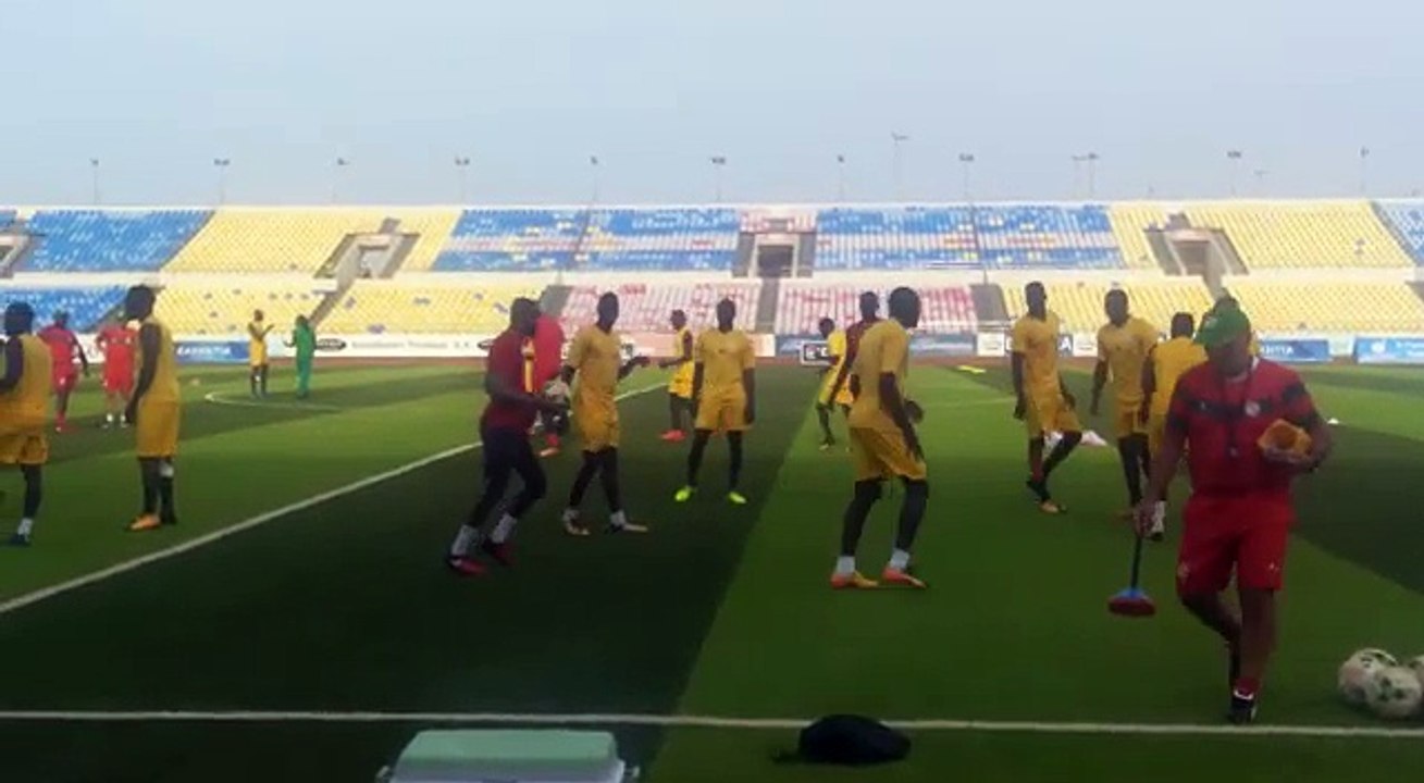 Entraînements lions