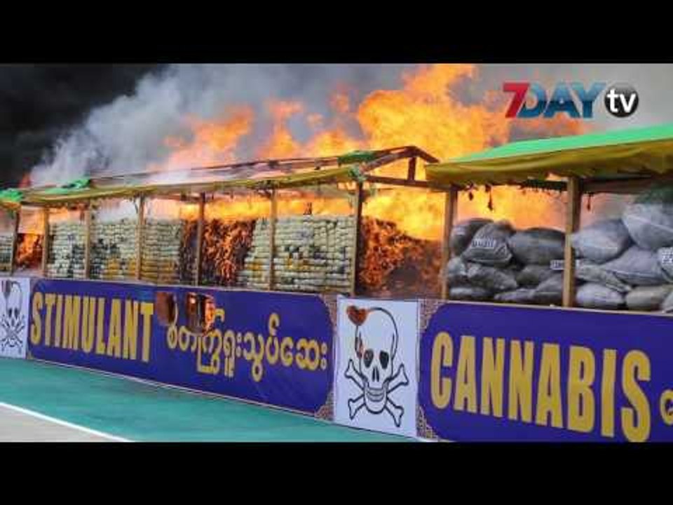ကန္ေဒၚလာ ၂၁၇ သန္းေက်ာ္ တန္ဖိုးရိွတဲ့ မူးယစ္ေဆးဝါးေတြ ကို ဖ်က္ဆီး