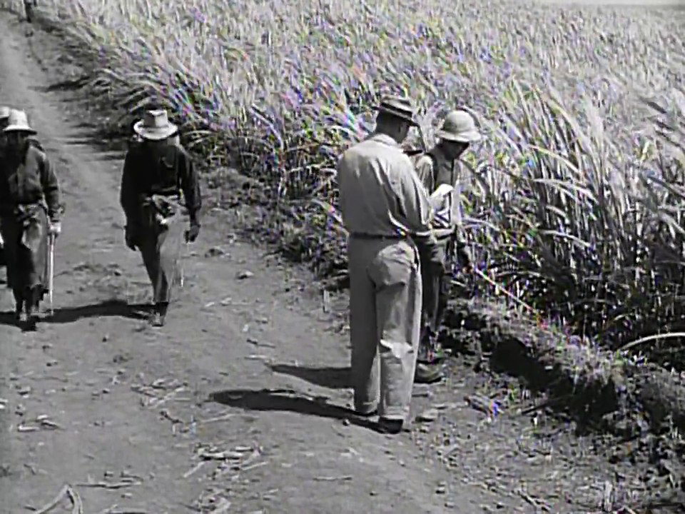 Soldier in Hawaii 1956; 25th Infantry Division, Schofield Barracks