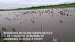 Desperate Rohingya Muslim Flee Burma By Swiming A Cross The River