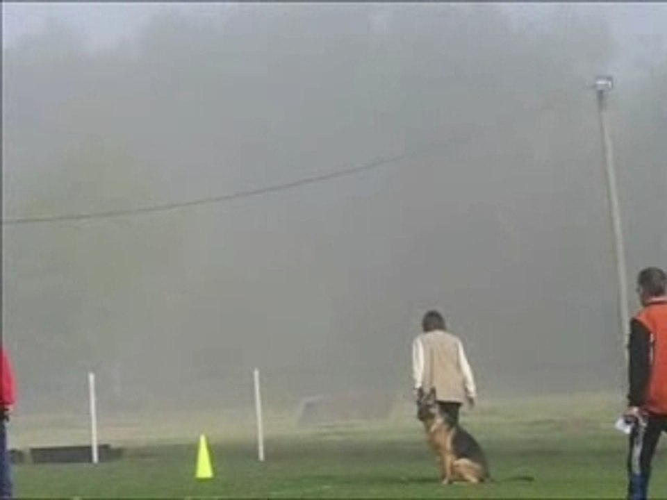 Brevet avhane avec musique