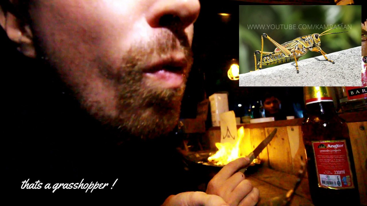 how to eat cockroaches, grasshoppers & other insects