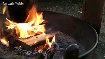 Surviving And Living Alone In Reality