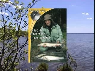 Le lac de Biscarosse et ses sandres