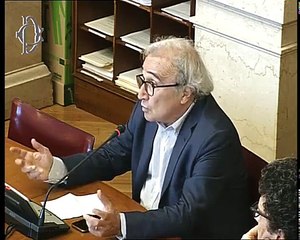Roma - Fondazione Tatarella, audizione esperti (11.07.17)