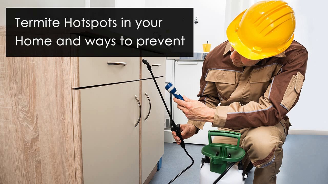 Termite Control Services
