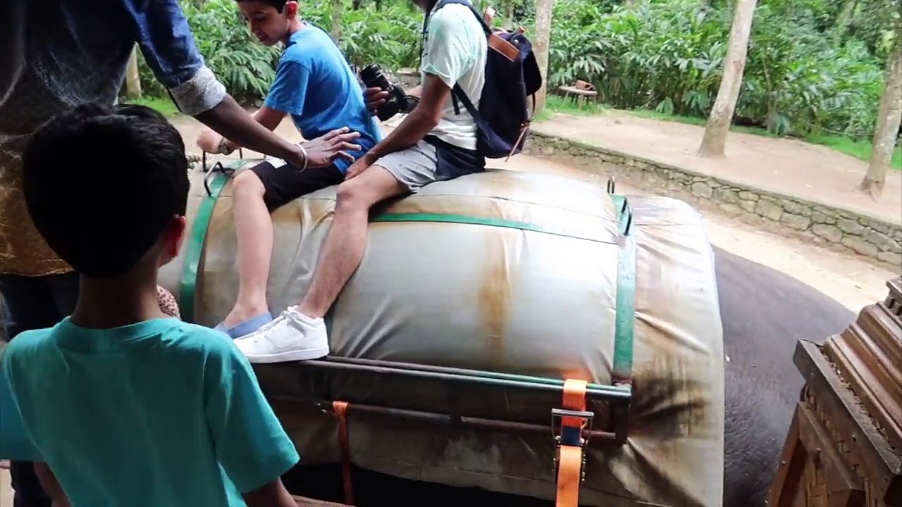 فلوق سفاري في الهند || Safari In India