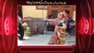 Funny Dance on Go Nawaz Go by Khawaja Sara