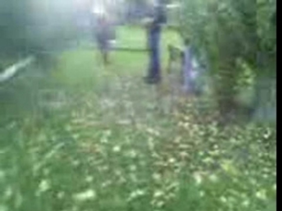 Vidéo 0034