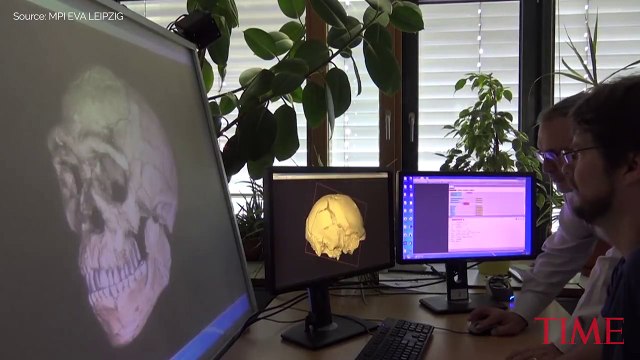 New 300000 Old Skeleton Found In Mexico