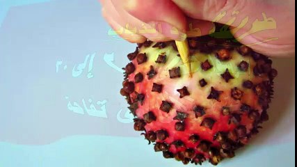 أسهل طريقة لطرد الذباب والناموس من المنزل