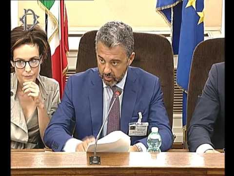 Roma - Audizione Samaritani, direttore AgID (12.07.17)
