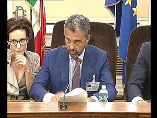 Roma - Audizione Samaritani, direttore AgID (12.07.17)