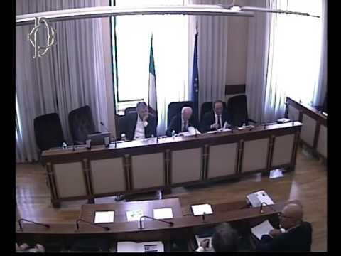Roma - Audizione Agenzia dogane e Guardia finanza (11.07.17)