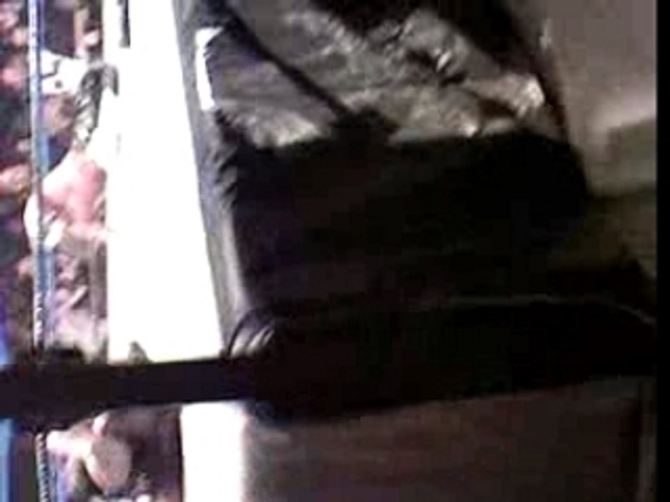 batista pin fall a bruxelles wwe