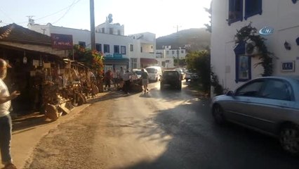Bunaltıcı Sıcaklar Hayvanları da Etkiledi...sıcağa Dayanamayan İnek Yere Yığıldı